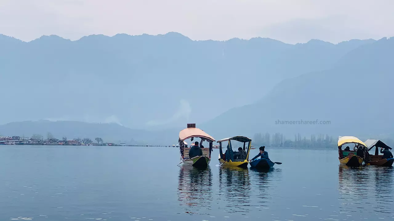 Srinagar Malayalam Travelogue | Dal Lake Srinagar|  ശ്രീനഗർ ദാൽ തടാകത്തിലെ ഒരു രാത്രി